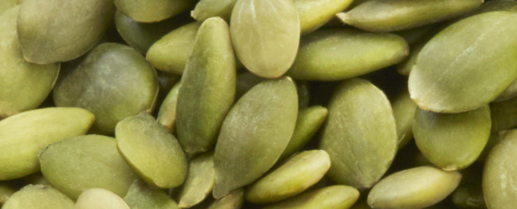 The Power and Nutritional Benefits of Seeds