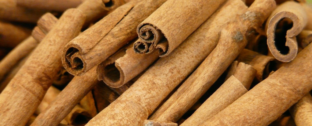 All About Cinnamon