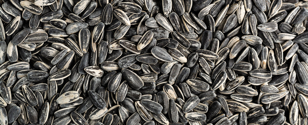 Water Footprint of Seeds vs Nuts
