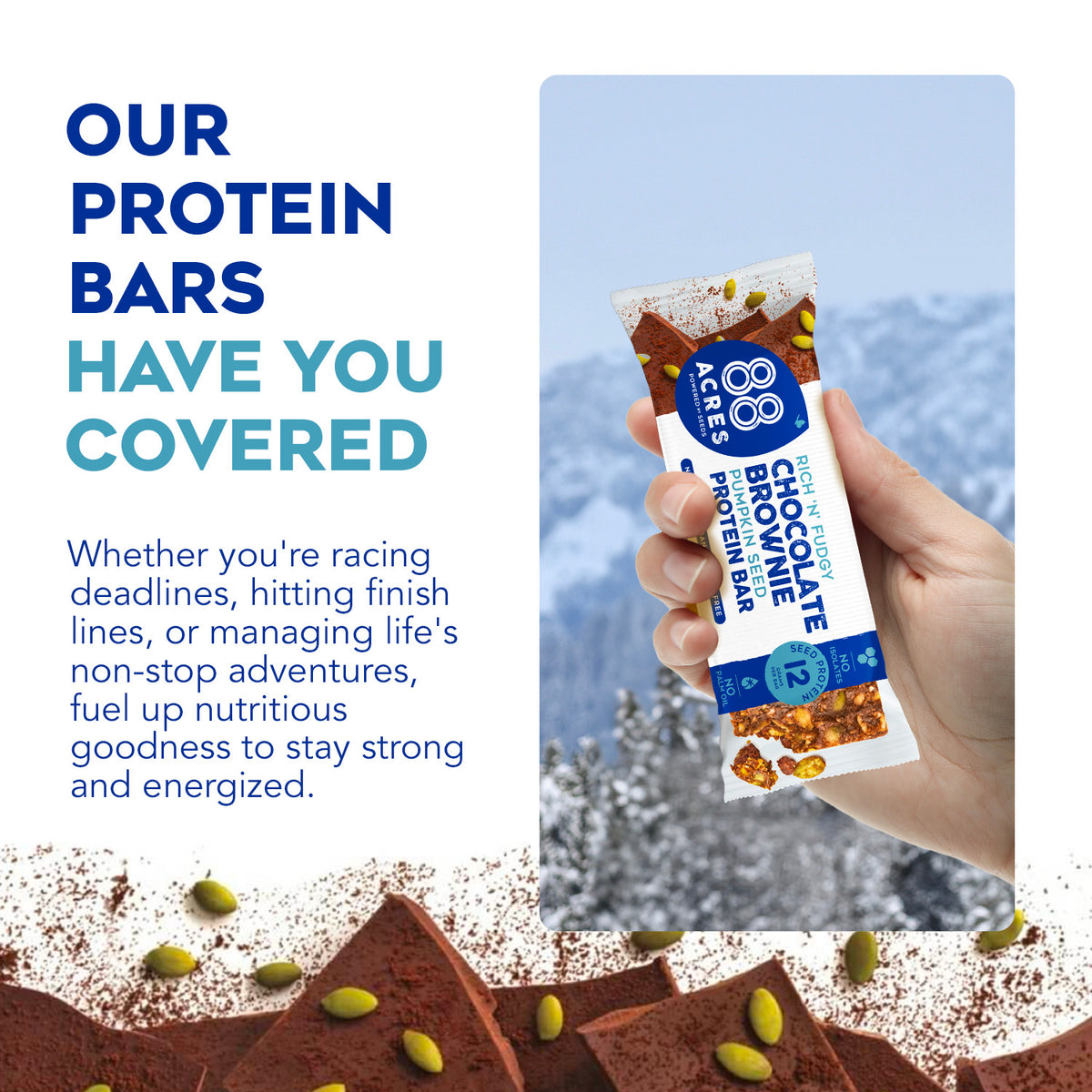 seed chocolate brownie protein bar