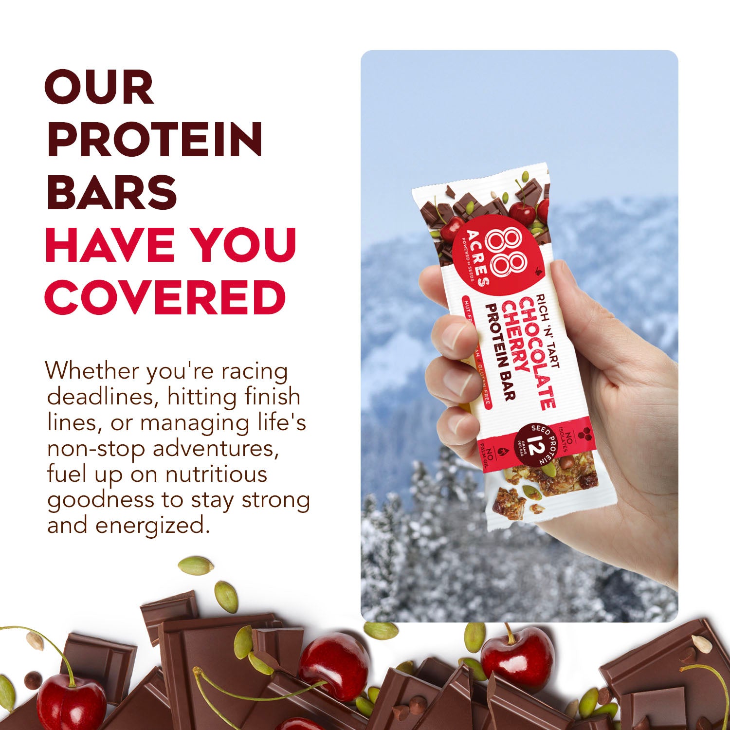 Chocolate Cherry Protein Bar (9 Bars)