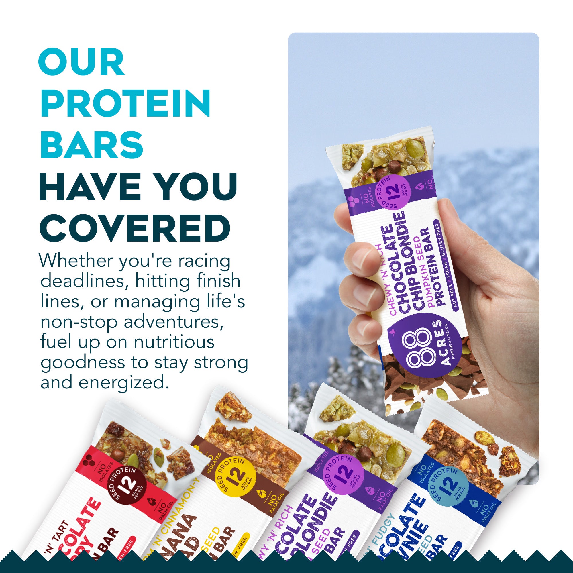 Protein Bar Sample Pack (4 Bars)