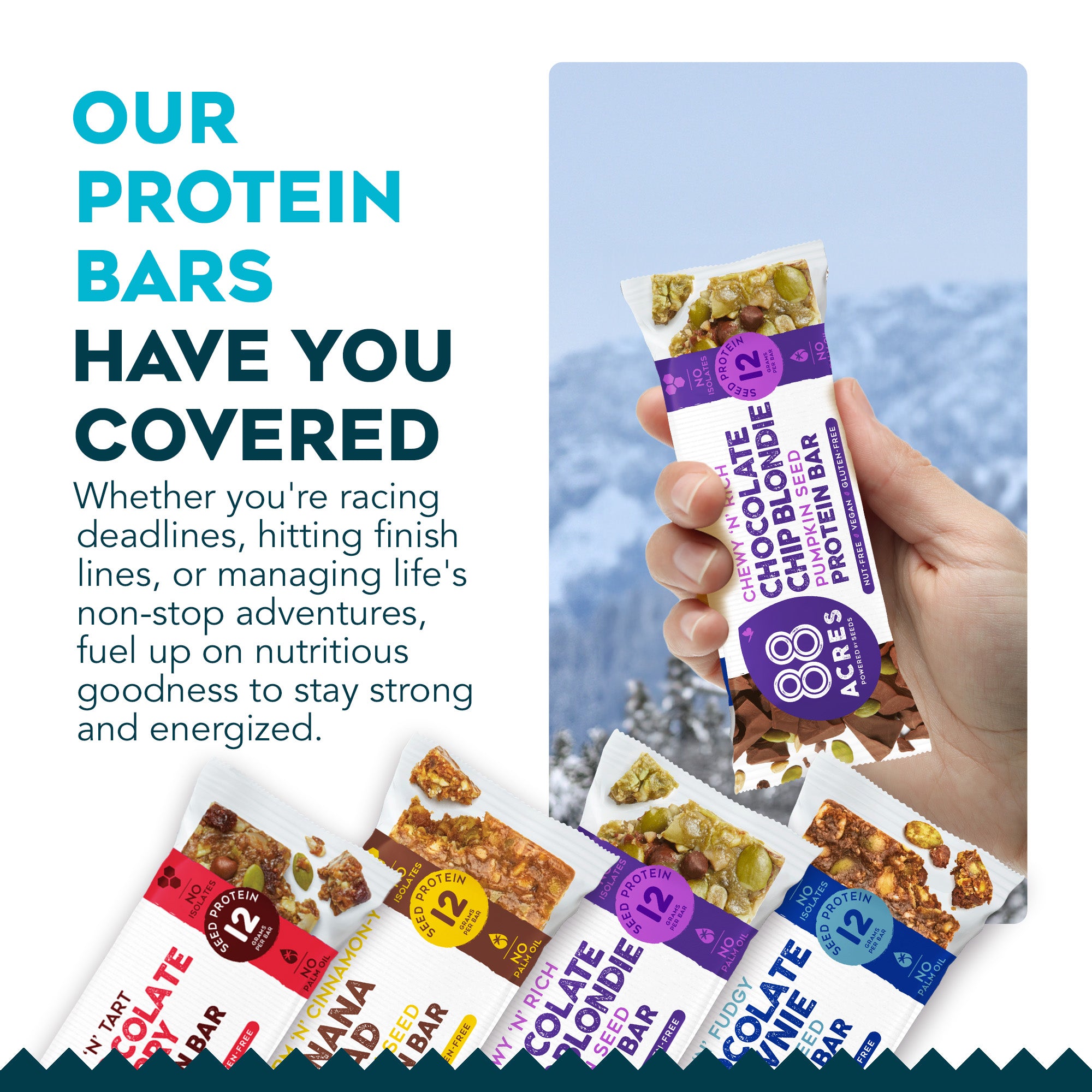 Protein Bar Sample Pack (4 Bars) | 88 Acres
