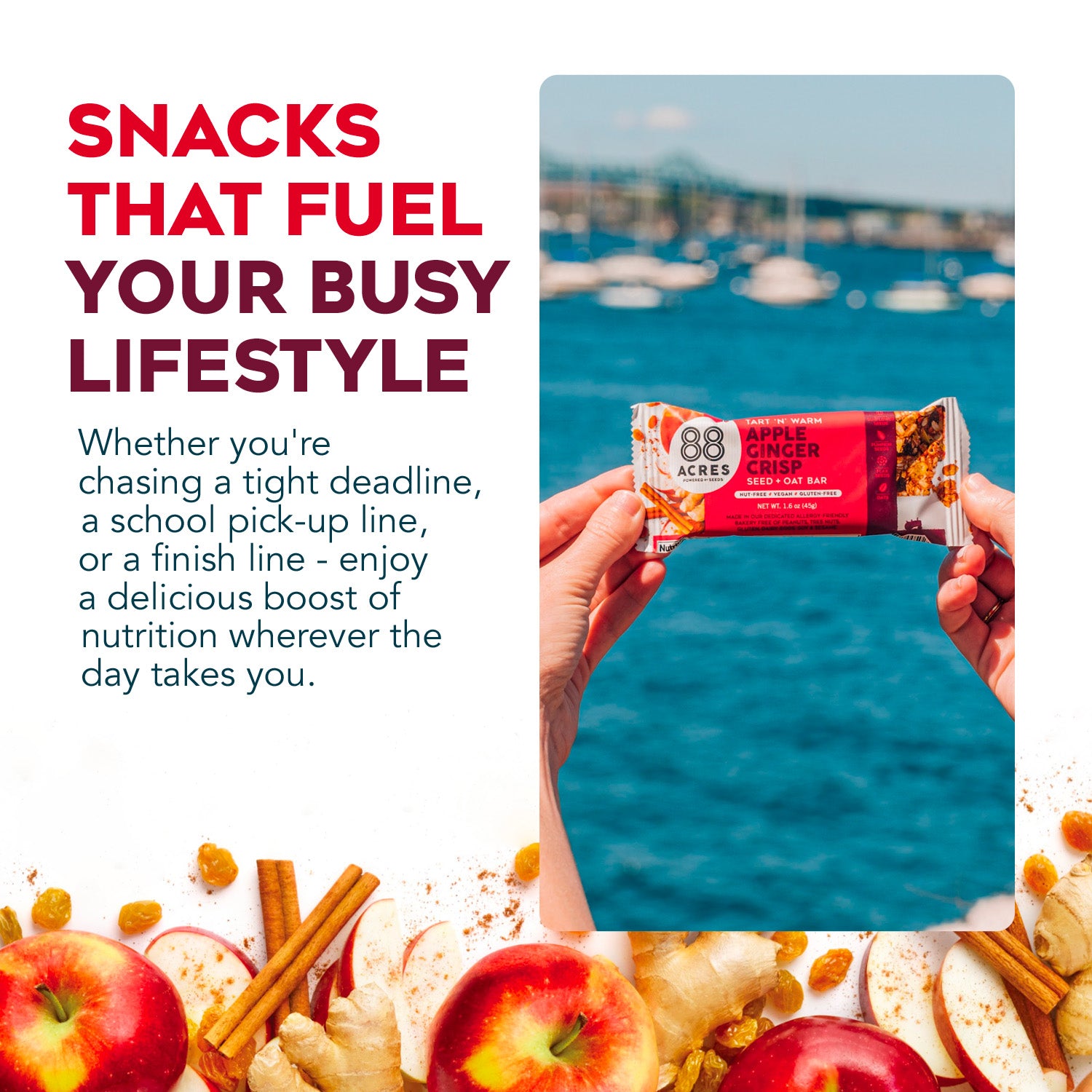 Apple Ginger Crisp Seed + Oat Bars (9 Bars)