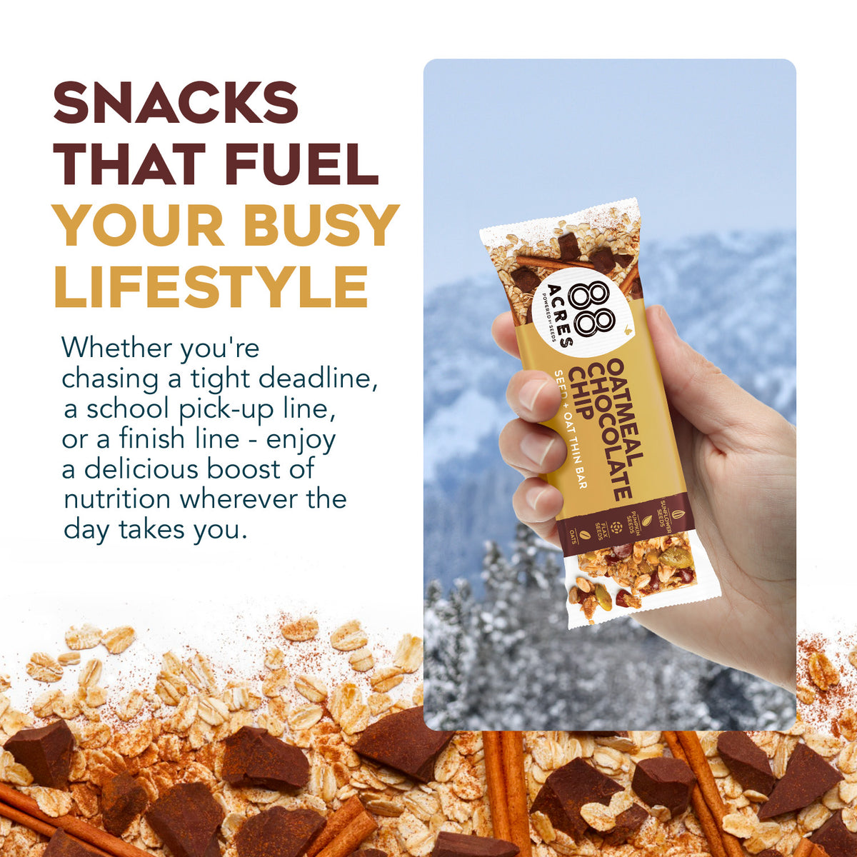 seed and oatmeal chocolate chip bar
