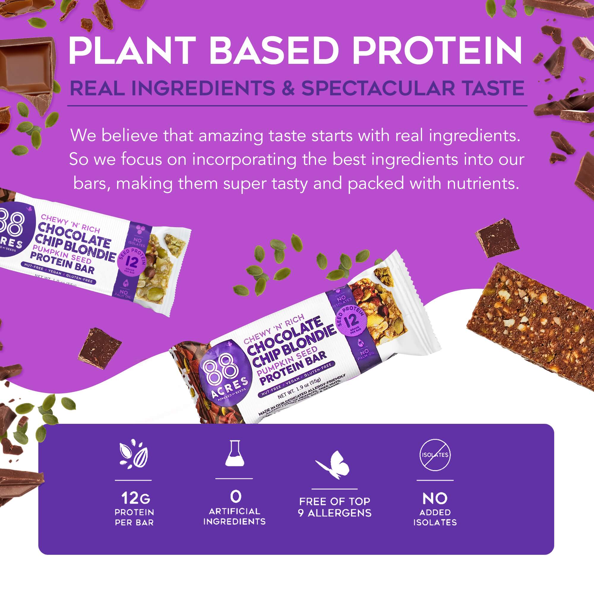 Chocolate Chip Blondie Protein Bars (9 Bars)