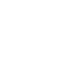 Vegan